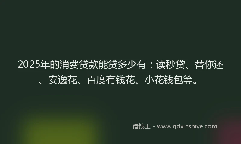 2025年的消费贷款能贷多少有：读秒贷、替你还、安逸花、百度有钱花、小花钱包等。