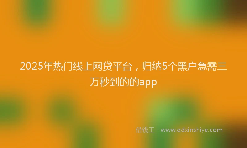 2025年热门线上网贷平台，归纳5个黑户急需三万秒到的的app