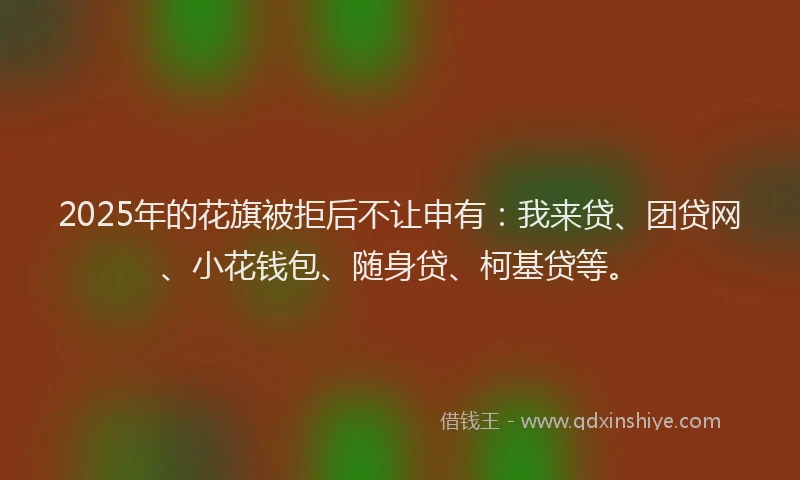 2025年的花旗被拒后不让申有：我来贷、团贷网、小花钱包、随身贷、柯基贷等。