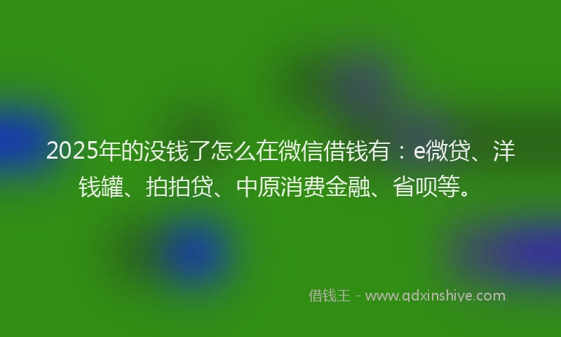 2025年的没钱了怎么在微信借钱有：e微贷、洋钱罐、拍拍贷、中原消费金融、省呗等。