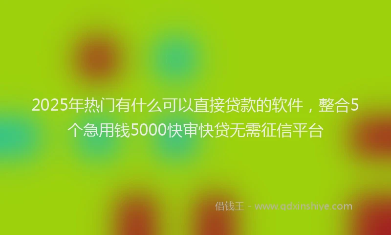 2025年热门有什么可以直接贷款的软件，整合5个急用钱5000快审快贷无需征信平台