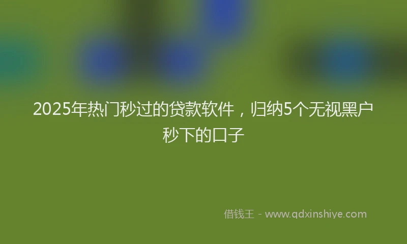2025年热门秒过的贷款软件，归纳5个无视黑户秒下的口子