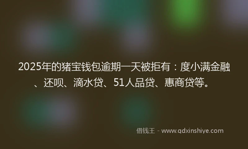 2025年的猪宝钱包逾期一天被拒有：度小满金融、还呗、滴水贷、51人品贷、惠商贷等。