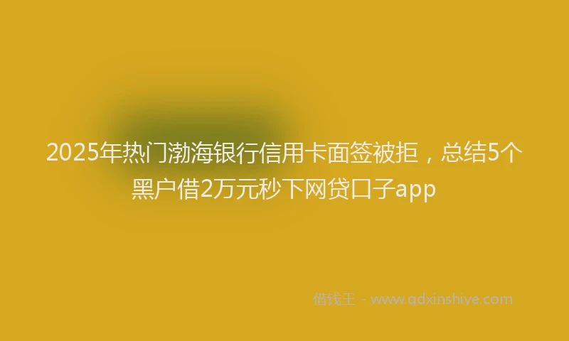 2025年热门渤海银行信用卡面签被拒，总结5个黑户借2万元秒下网贷口子app