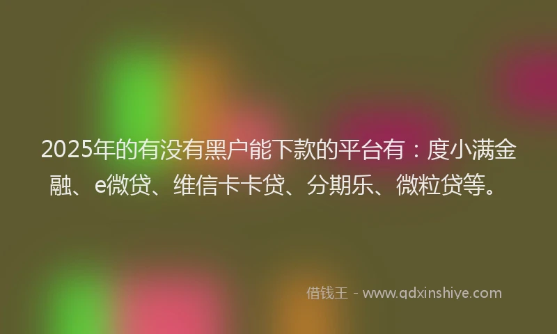 2025年的有没有黑户能下款的平台有：度小满金融、e微贷、维信卡卡贷、分期乐、微粒贷等。