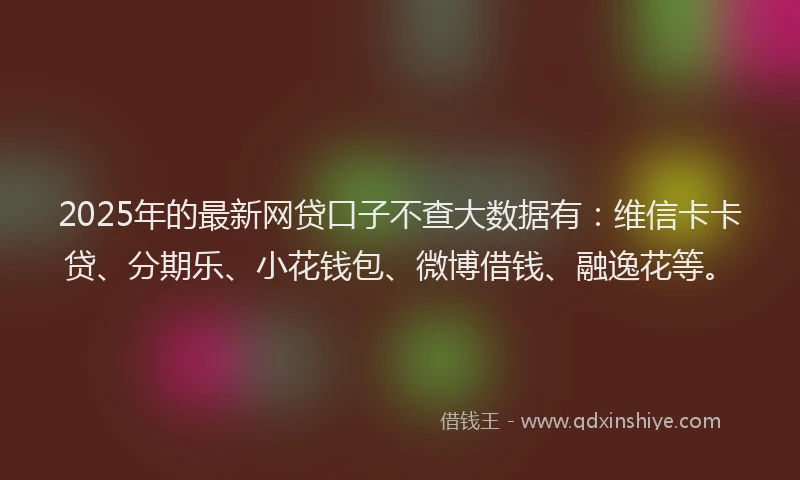 2025年的最新网贷口子不查大数据有：维信卡卡贷、分期乐、小花钱包、微博借钱、融逸花等。