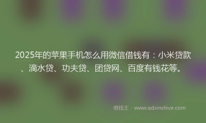2025年的苹果手机怎么用微信借钱有：小米贷款、滴水贷、功夫贷、团贷网、百度有钱花等。