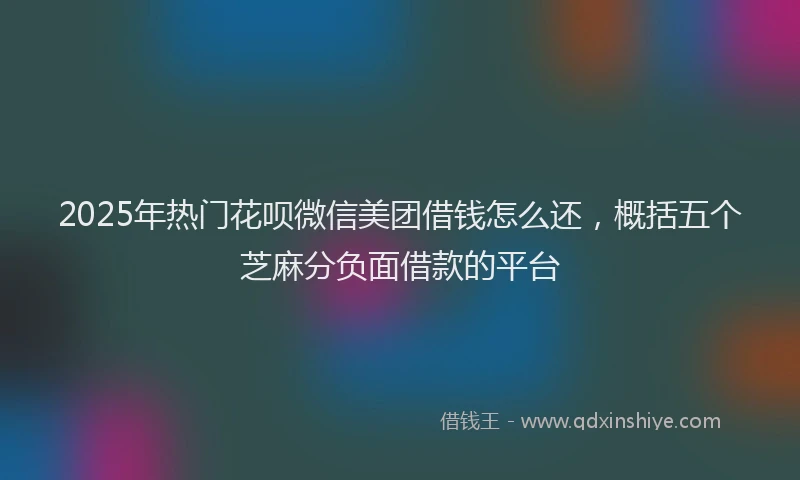 2025年热门花呗微信美团借钱怎么还，概括五个芝麻分负面借款的平台