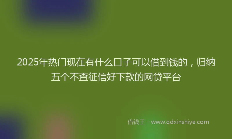 2025年热门现在有什么口子可以借到钱的，归纳五个不查征信好下款的网贷平台