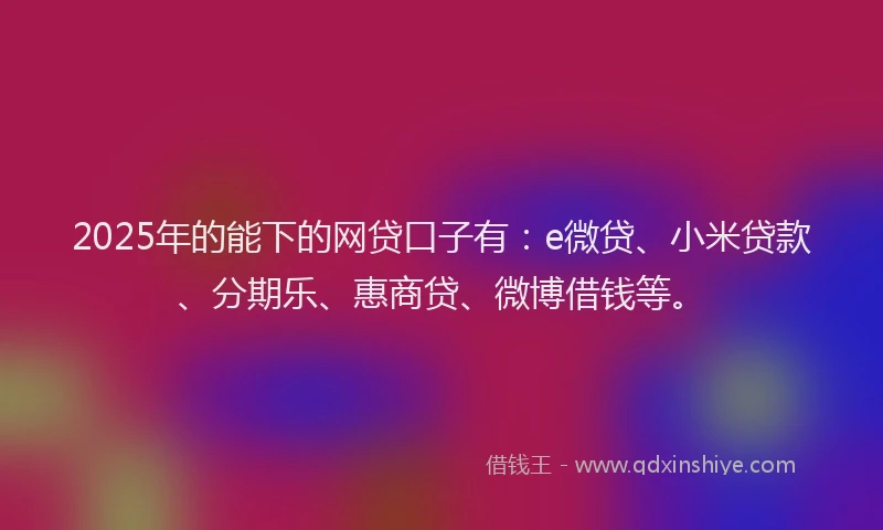 2025年的能下的网贷口子有：e微贷、小米贷款、分期乐、惠商贷、微博借钱等。
