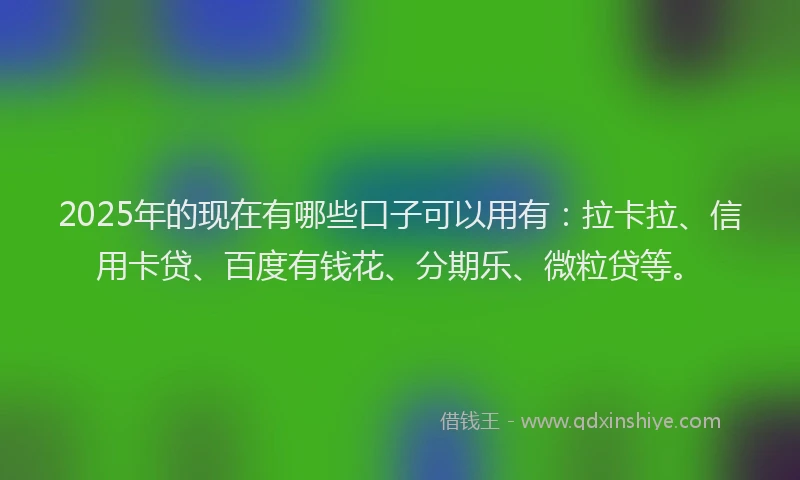 2025年的现在有哪些口子可以用有：拉卡拉、信用卡贷、百度有钱花、分期乐、微粒贷等。