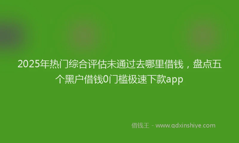 2025年热门综合评估未通过去哪里借钱，盘点五个黑户借钱0门槛极速下款app