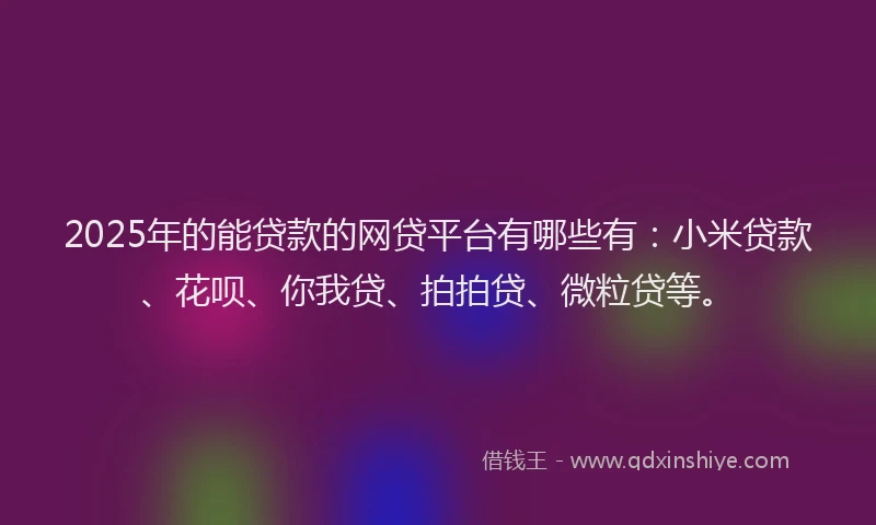 2025年的能贷款的网贷平台有哪些有：小米贷款、花呗、你我贷、拍拍贷、微粒贷等。