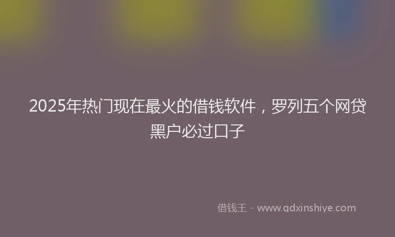 2025年热门现在最火的借钱软件，罗列五个网贷黑户必过口子