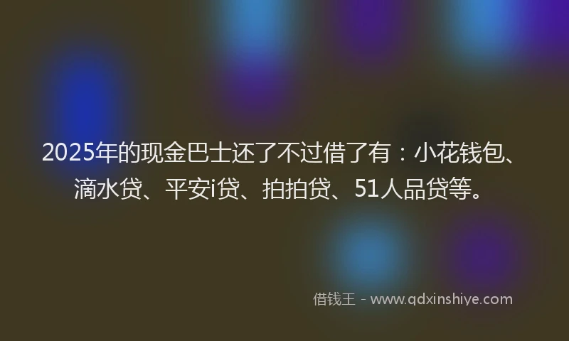 2025年的现金巴士还了不过借了有：小花钱包、滴水贷、平安i贷、拍拍贷、51人品贷等。