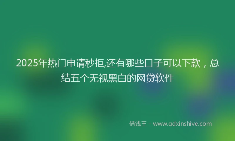 2025年热门申请秒拒,还有哪些口子可以下款，总结五个无视黑白的网贷软件