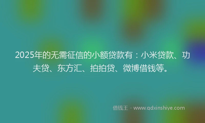 2025年的无需征信的小额贷款有：小米贷款、功夫贷、东方汇、拍拍贷、微博借钱等。