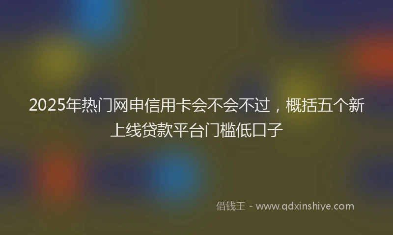 2025年热门网申信用卡会不会不过，概括五个新上线贷款平台门槛低口子