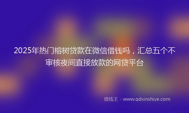 2025年热门榕树贷款在微信借钱吗，汇总五个不审核夜间直接放款的网贷平台