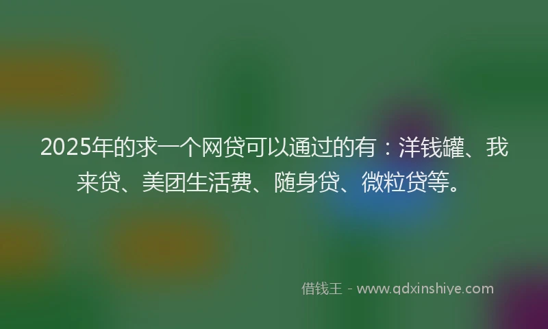 2025年的求一个网贷可以通过的有：洋钱罐、我来贷、美团生活费、随身贷、微粒贷等。