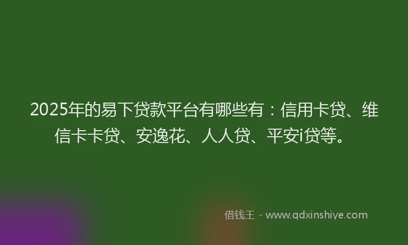 2025年的易下贷款平台有哪些有：信用卡贷、维信卡卡贷、安逸花、人人贷、平安i贷等。