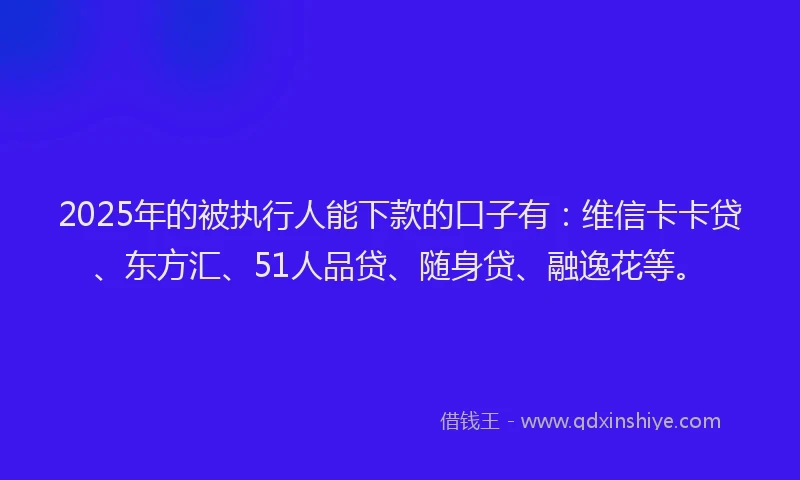 2025年的被执行人能下款的口子有：维信卡卡贷、东方汇、51人品贷、随身贷、融逸花等。