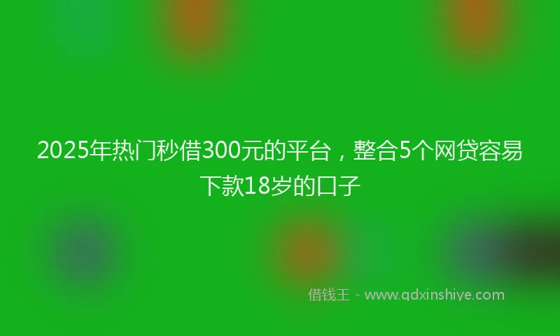 2025年热门秒借300元的平台，整合5个网贷容易下款18岁的口子