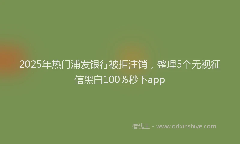 2025年热门浦发银行被拒注销，整理5个无视征信黑白100%秒下app