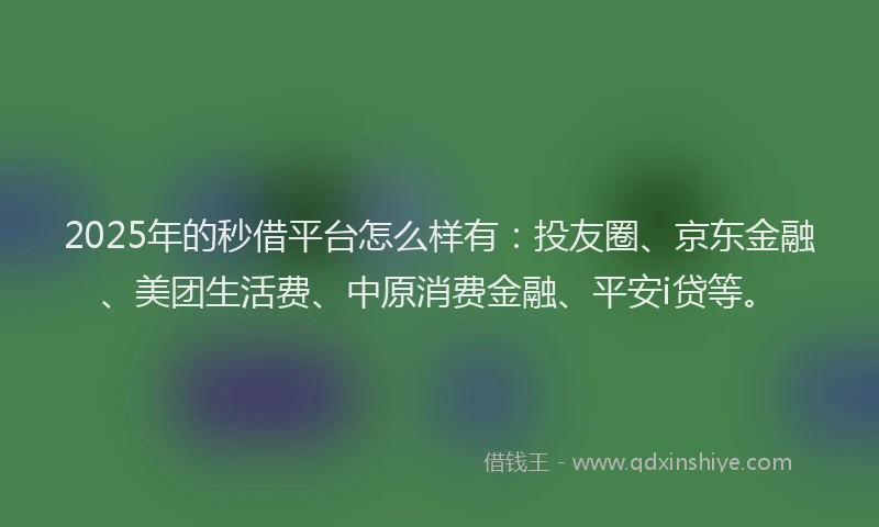 2025年的秒借平台怎么样有：投友圈、京东金融、美团生活费、中原消费金融、平安i贷等。
