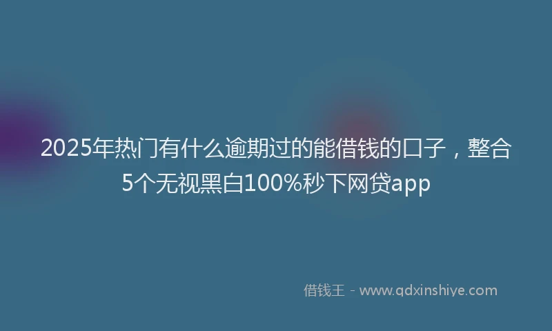 2025年热门有什么逾期过的能借钱的口子，整合5个无视黑白100%秒下网贷app