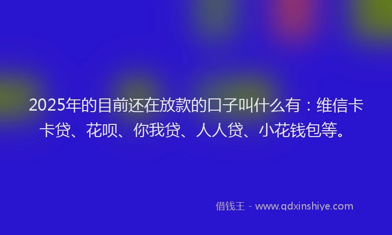 2025年的目前还在放款的口子叫什么有：维信卡卡贷、花呗、你我贷、人人贷、小花钱包等。