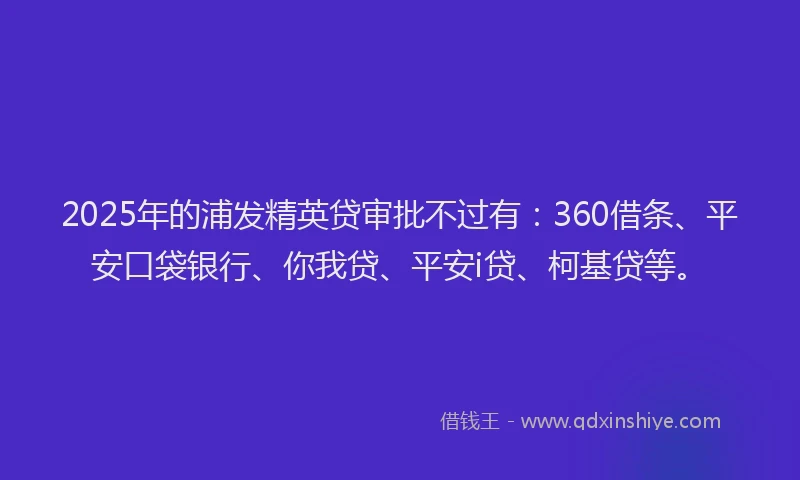 2025年的浦发精英贷审批不过有：360借条、平安口袋银行、你我贷、平安i贷、柯基贷等。