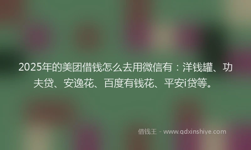 2025年的美团借钱怎么去用微信有：洋钱罐、功夫贷、安逸花、百度有钱花、平安i贷等。