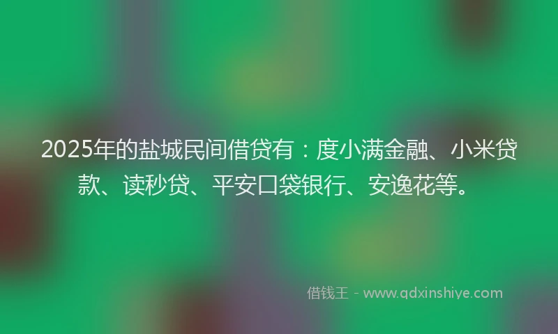 2025年的盐城民间借贷有：度小满金融、小米贷款、读秒贷、平安口袋银行、安逸花等。
