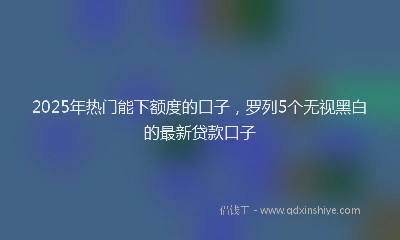 2025年热门能下额度的口子，罗列5个无视黑白的最新贷款口子
