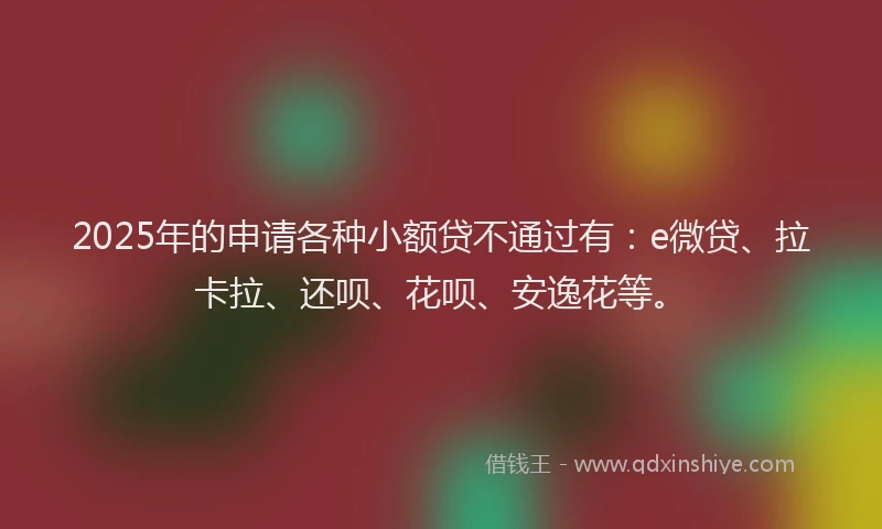 2025年的申请各种小额贷不通过有：e微贷、拉卡拉、还呗、花呗、安逸花等。