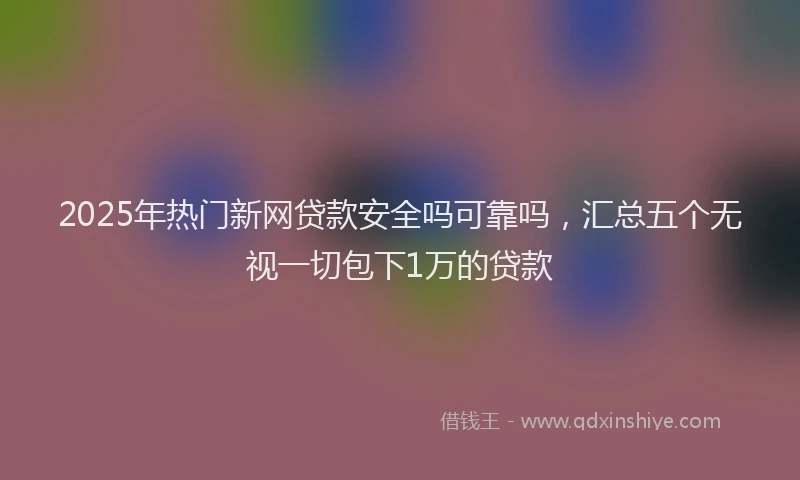 2025年热门新网贷款安全吗可靠吗，汇总五个无视一切包下1万的贷款