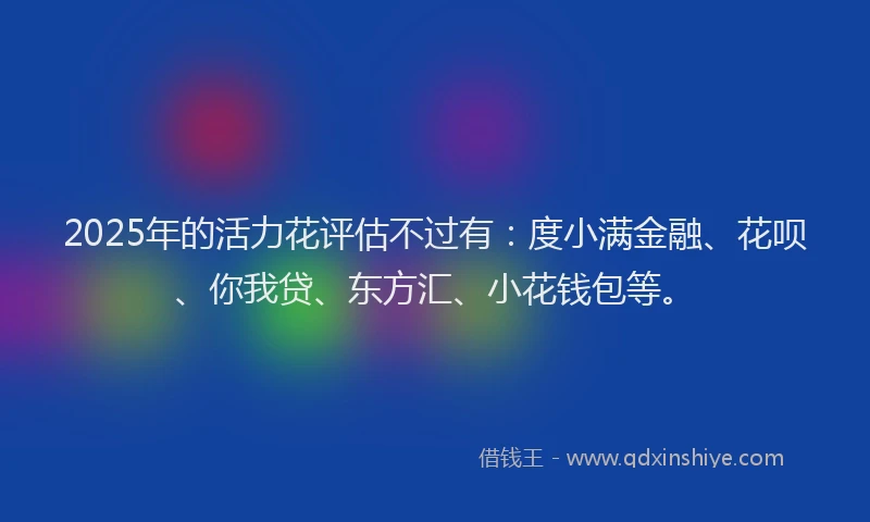 2025年的活力花评估不过有：度小满金融、花呗、你我贷、东方汇、小花钱包等。