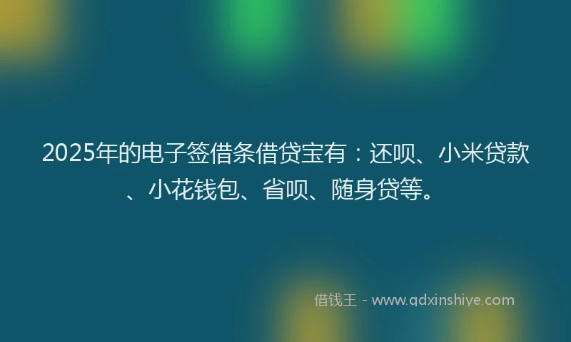 2025年的电子签借条借贷宝有：还呗、小米贷款、小花钱包、省呗、随身贷等。