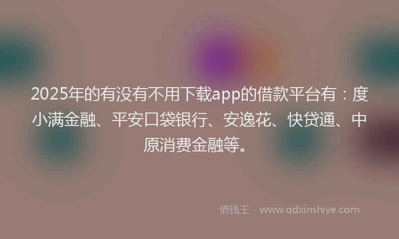 2025年的有没有不用下载app的借款平台有：度小满金融、平安口袋银行、安逸花、快贷通、中原消费金融等。