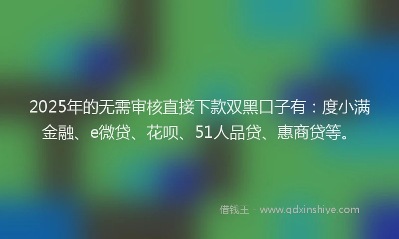2025年的无需审核直接下款双黑口子有：度小满金融、e微贷、花呗、51人品贷、惠商贷等。