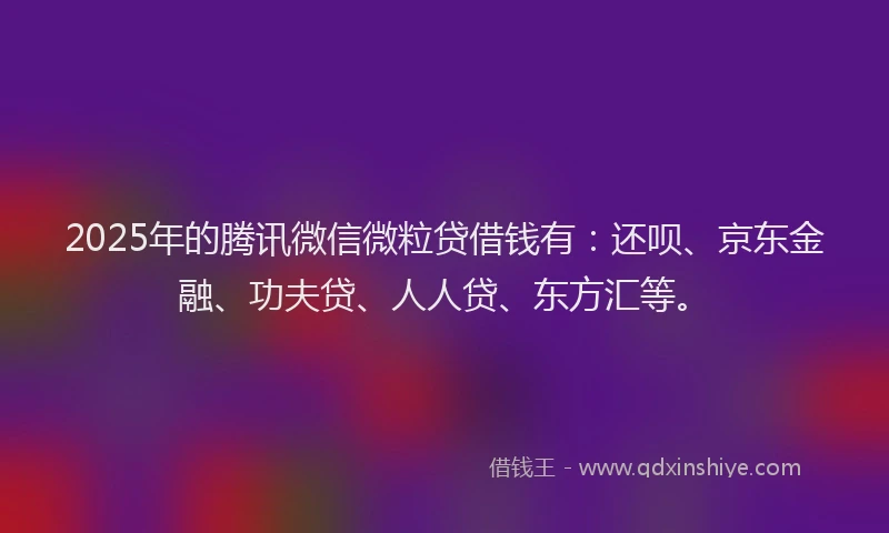 2025年的腾讯微信微粒贷借钱有：还呗、京东金融、功夫贷、人人贷、东方汇等。
