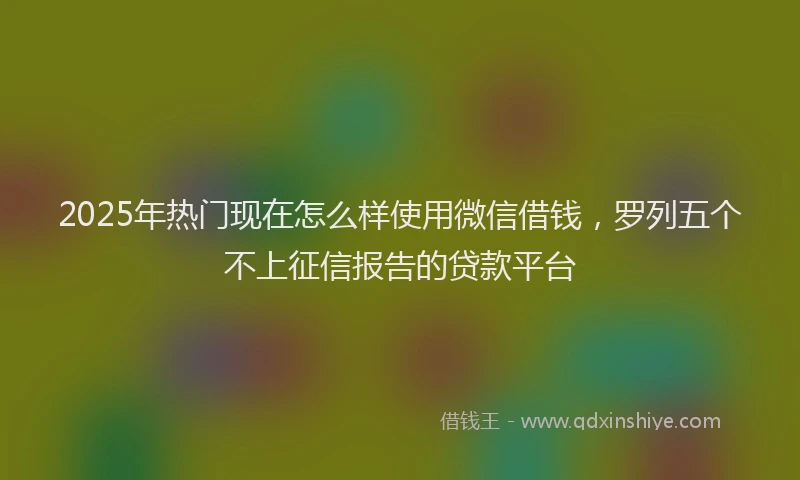 2025年热门现在怎么样使用微信借钱，罗列五个不上征信报告的贷款平台