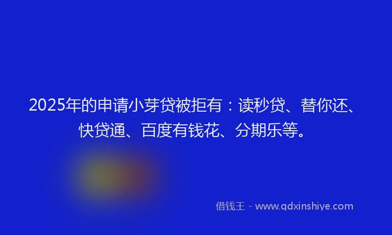 2025年的申请小芽贷被拒有：读秒贷、替你还、快贷通、百度有钱花、分期乐等。