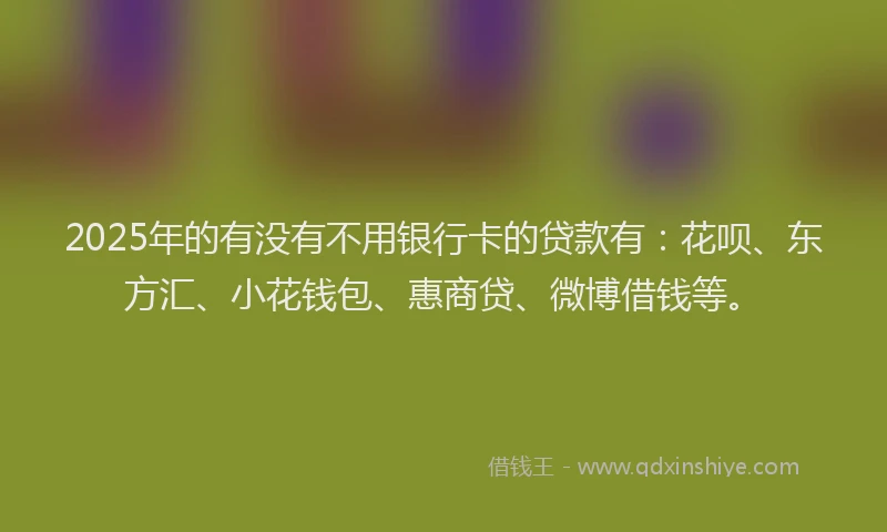 2025年的有没有不用银行卡的贷款有：花呗、东方汇、小花钱包、惠商贷、微博借钱等。