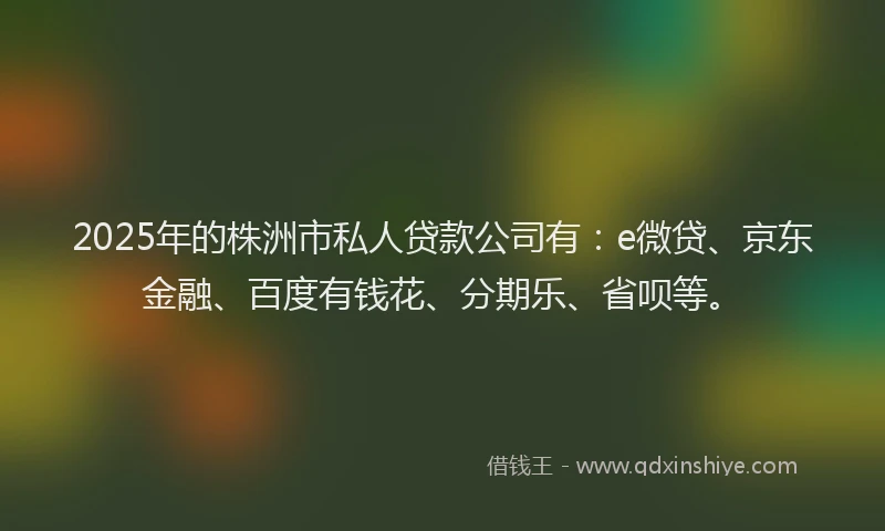 2025年的株洲市私人贷款公司有：e微贷、京东金融、百度有钱花、分期乐、省呗等。