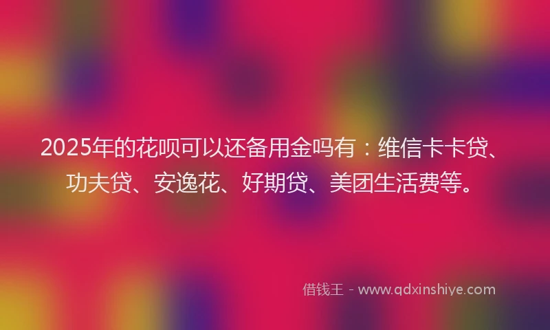 2025年的花呗可以还备用金吗有：维信卡卡贷、功夫贷、安逸花、好期贷、美团生活费等。