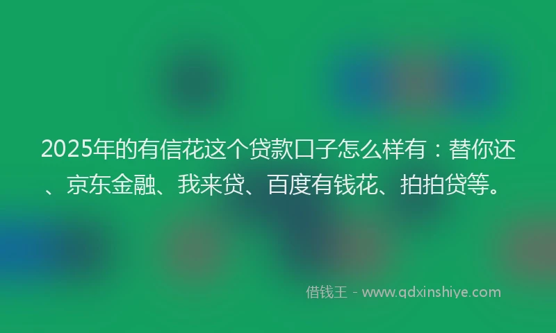 2025年的有信花这个贷款口子怎么样有：替你还、京东金融、我来贷、百度有钱花、拍拍贷等。