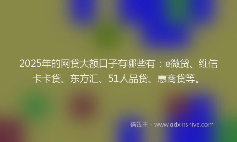 2025年的网贷大额口子有哪些有：e微贷、维信卡卡贷、东方汇、51人品贷、惠商贷等。
