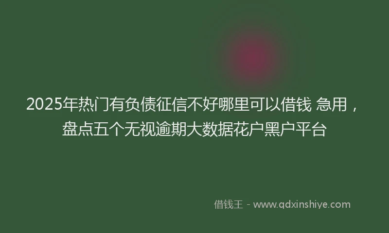 2025年热门有负债征信不好哪里可以借钱 急用，盘点五个无视逾期大数据花户黑户平台